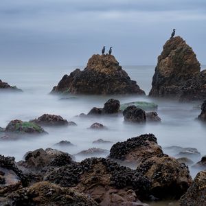 Превью обои скалы, море, птицы, туман