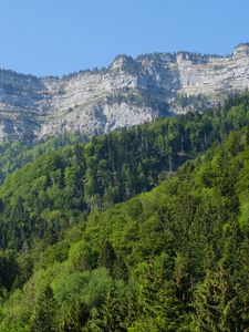 Превью обои скалы, обрыв, лес, деревья, пейзаж