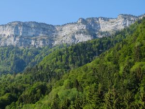 Превью обои скалы, обрыв, лес, деревья, пейзаж