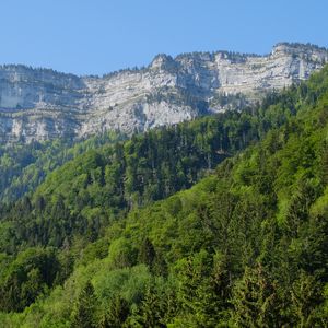 Превью обои скалы, обрыв, лес, деревья, пейзаж