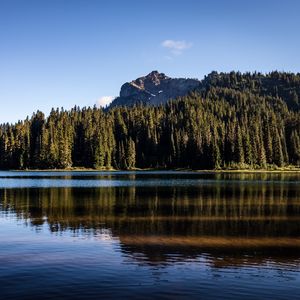 Превью обои скалы, озеро, ель, деревья, отражение