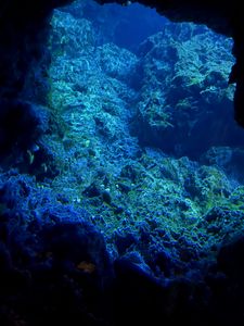 Превью обои скалы, подводный мир, вода, море, синий