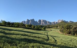 Превью обои скалы, поле, деревья, пейзаж