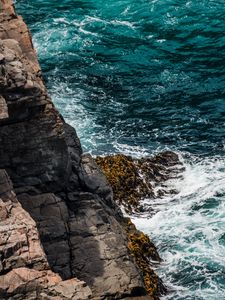 Превью обои скалы, прибой, море, водоросли, пена