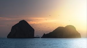 Превью обои скалы, птицы, море, небо, сумерки