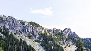 Превью обои скалы, река, деревья, ель, небо