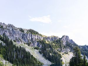 Превью обои скалы, река, деревья, ель, небо
