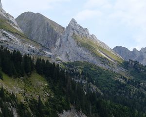 Превью обои скалы, рельеф, склон, деревья