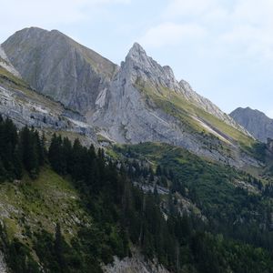 Превью обои скалы, рельеф, склон, деревья