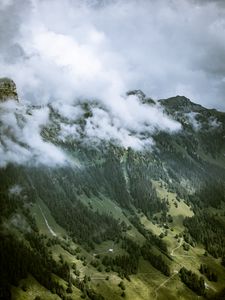 Превью обои скалы, склон, деревья, туман, облака