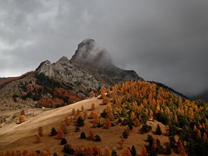 Превью обои скалы, склон, деревья, поле, осень