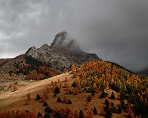 Превью обои скалы, склон, деревья, поле, осень