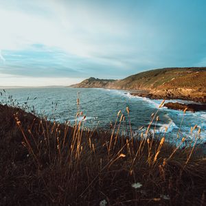 Превью обои скалы, утес, море, трава, побережье