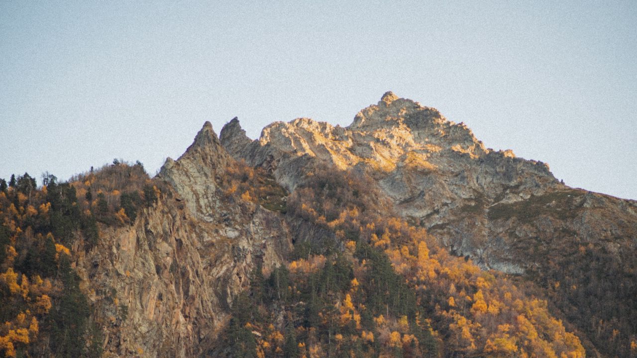 Обои скалы, вершина, деревья, осень
