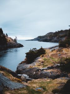 Превью обои скалы, вода, деревья, кусты, камни