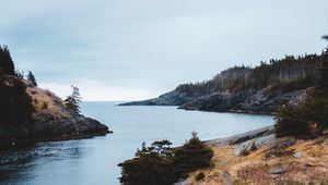 Превью обои скалы, вода, деревья, кусты, камни