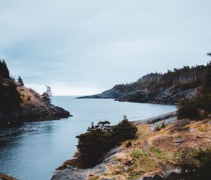 Превью обои скалы, вода, деревья, кусты, камни