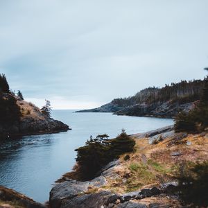 Превью обои скалы, вода, деревья, кусты, камни