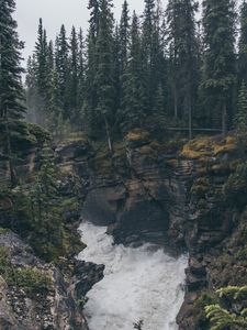 Превью обои скалы, вода, лес, деревья, природа