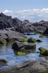 Превью обои скалы, вода, мох, море, берег