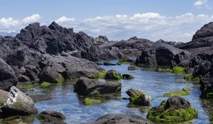 Превью обои скалы, вода, мох, море, берег