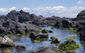 Превью обои скалы, вода, мох, море, берег