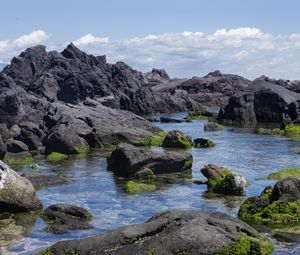 Превью обои скалы, вода, мох, море, берег