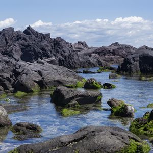 Превью обои скалы, вода, мох, море, берег