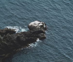 Превью обои скалы, вода, вид сверху, море, побережье