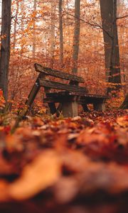 Превью обои скамейка, лес, осень, природа