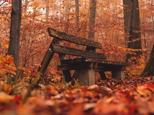 Превью обои скамейка, лес, осень, природа