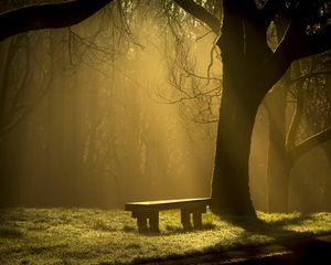 Превью обои скамейка, лес, туман