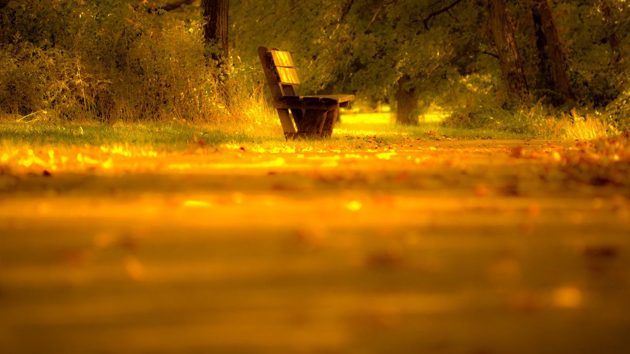 Обои скамейка, одинокая, желтый, размытие