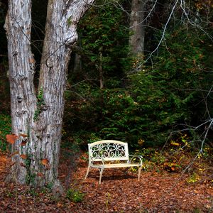Превью обои скамейка, осень, листва, дерево