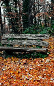 Превью обои скамейка, осень, парк, деревья
