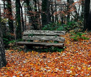 Превью обои скамейка, осень, парк, деревья