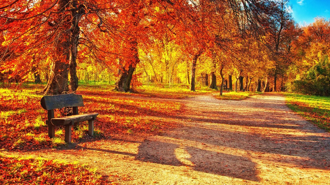 Обои скамейка, осень, парк, листва