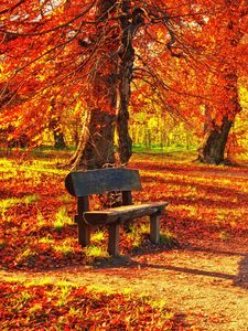 Превью обои скамейка, осень, парк, листва