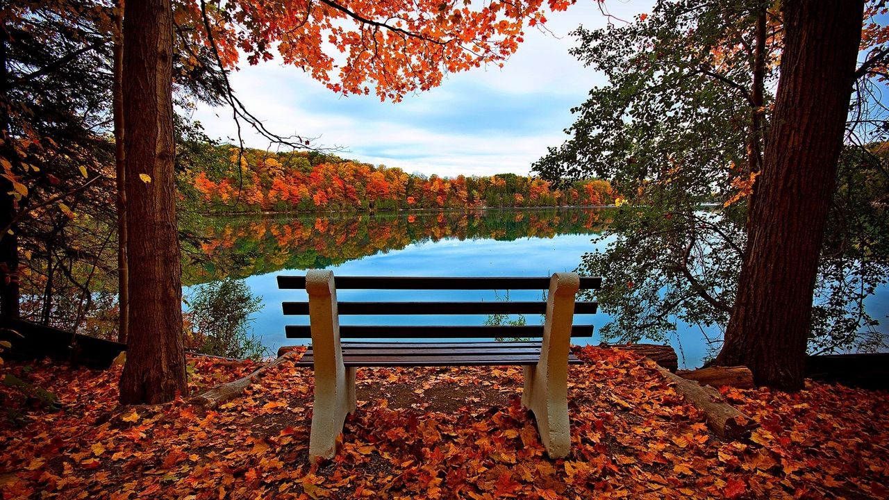 Обои скамейка, осень, река, озеро, деревья