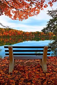 Превью обои скамейка, осень, река, озеро, деревья