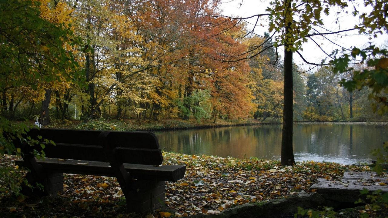 Обои скамейка, озеро, осень, лес, деревья, ручей, листопад