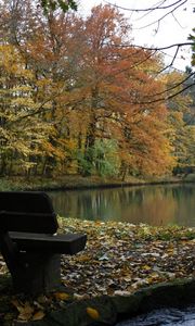 Превью обои скамейка, озеро, осень, лес, деревья, ручей, листопад