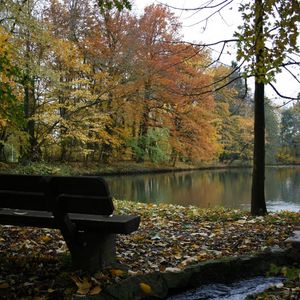 Превью обои скамейка, озеро, осень, лес, деревья, ручей, листопад