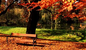 Превью обои скамейка, парк, дерево, осень, озеро, свет, газон