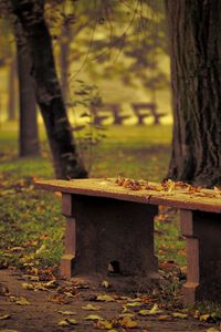Превью обои скамейка, парк, листья, осень, деревья, одиночество