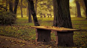 Превью обои скамейка, парк, листья, осень, деревья, одиночество