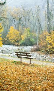 Превью обои скамейка, парк, осень, деревья, монтана