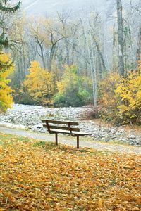 Превью обои скамейка, парк, осень, деревья, монтана