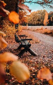 Превью обои скамейка, природа, осень, листья, листва, желтый