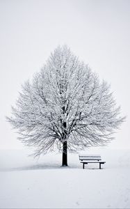 Превью обои скамейка, снег, зима, дерево, минимализм